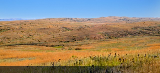 Little Bighorn Leadership Experience