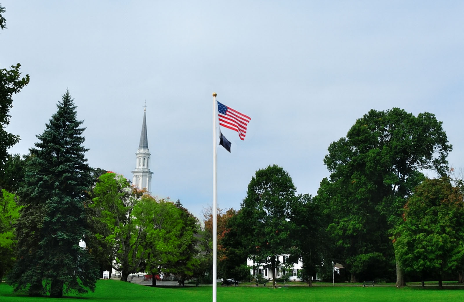 Boston Campaign Leadership Experience