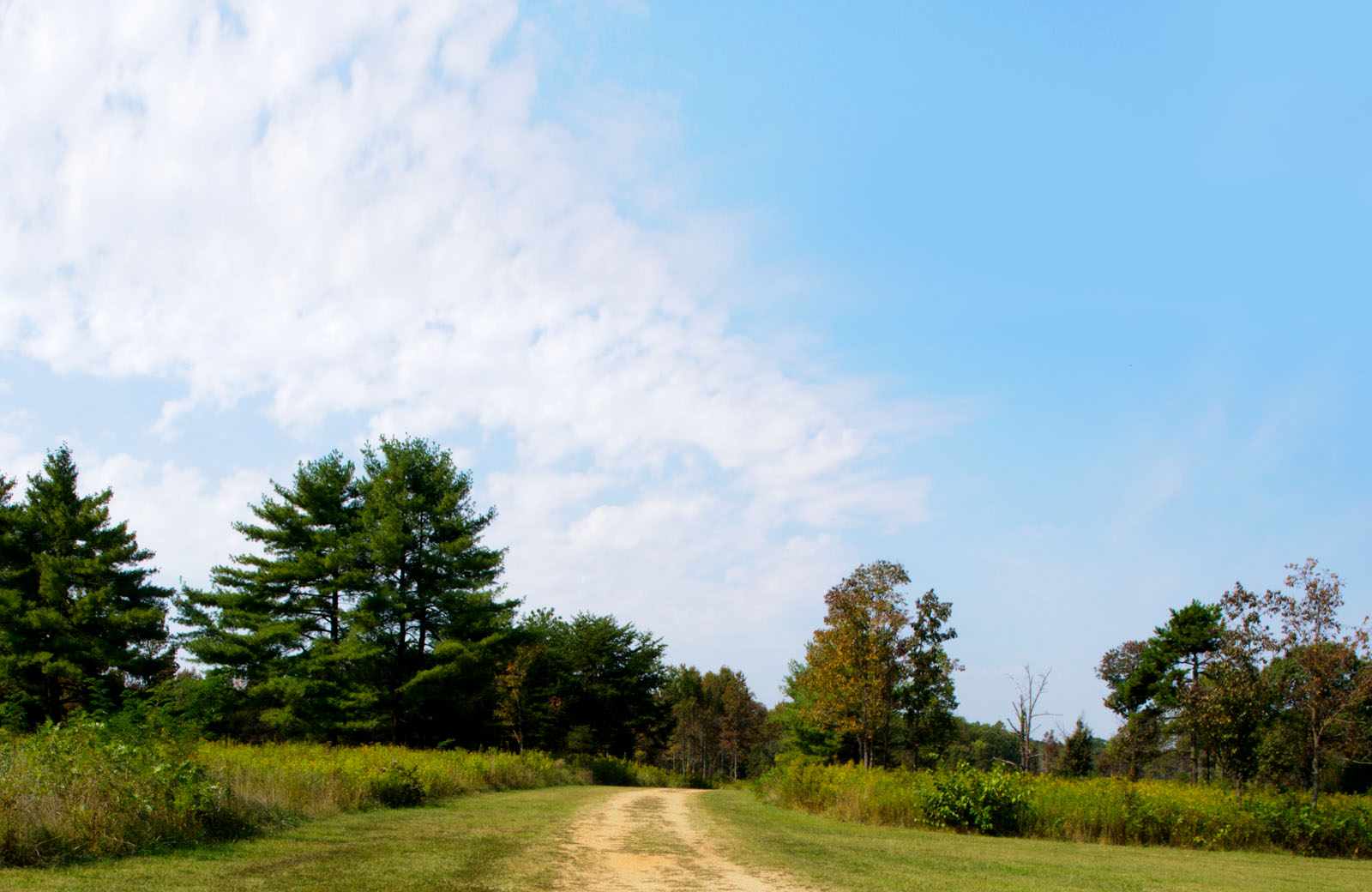 Cowpens Leadership Experience